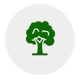 Tree Services